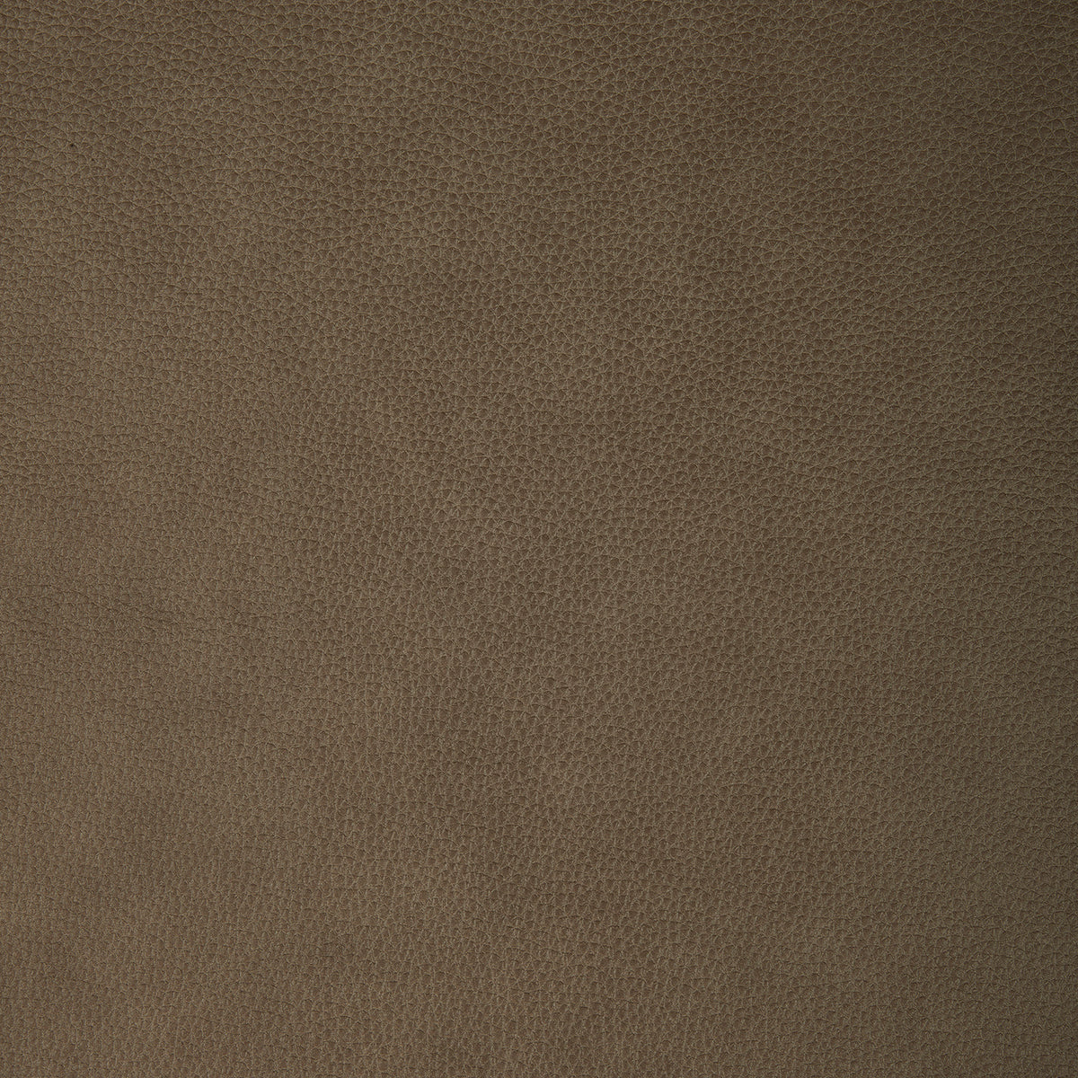 Rawling York Sand Swatch