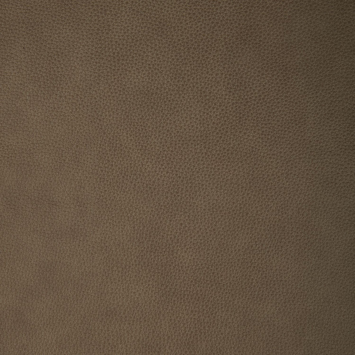 Rawling York Sand Swatch