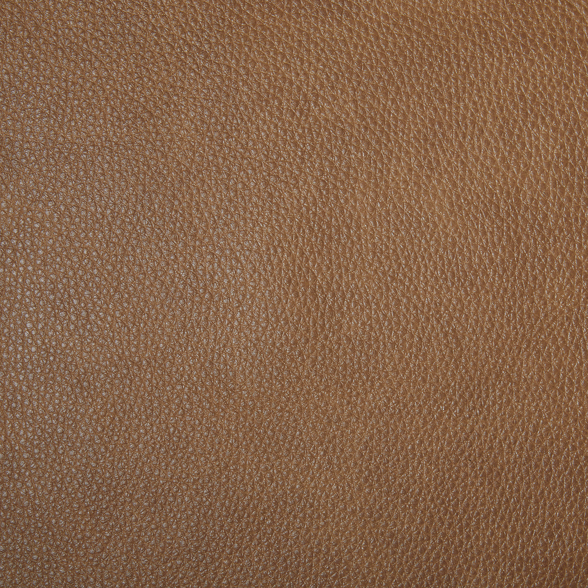 Rosslyn York Butternut Swatch