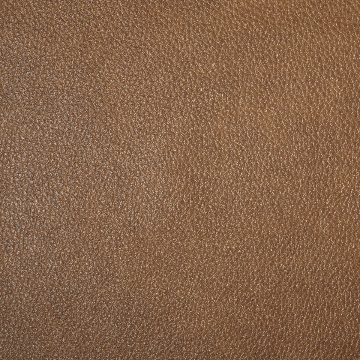 Rosslyn York Butternut Swatch