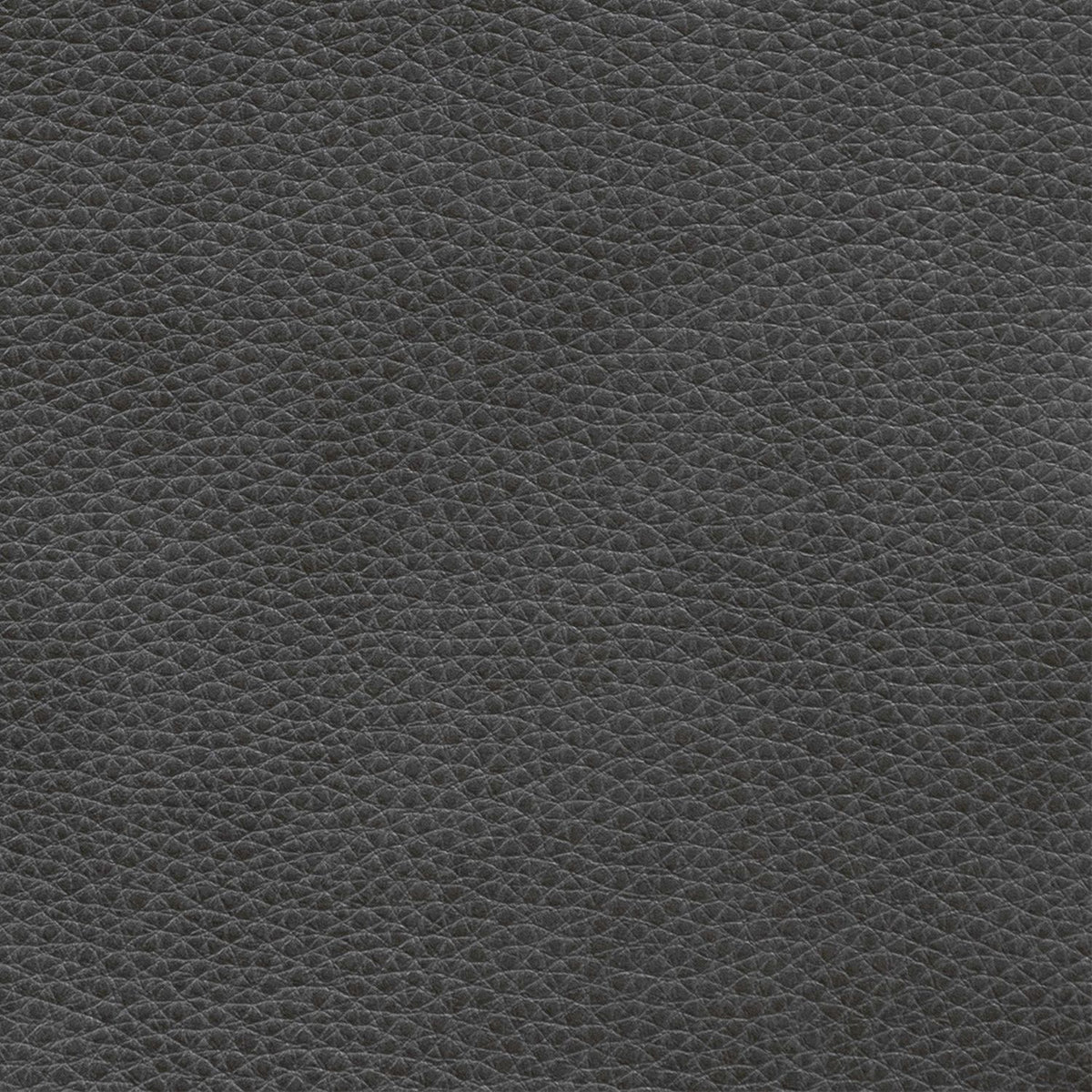 Rosslyn York Charcoal Swatch