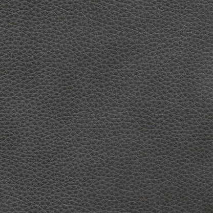 Rosslyn York Charcoal Swatch