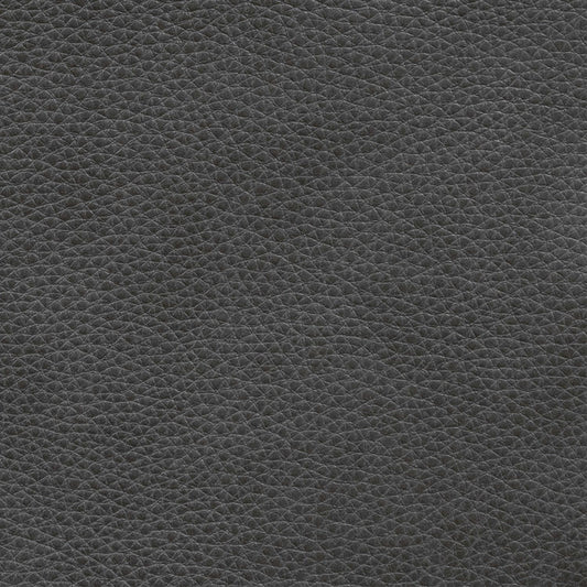 Rosslyn York Charcoal Swatch