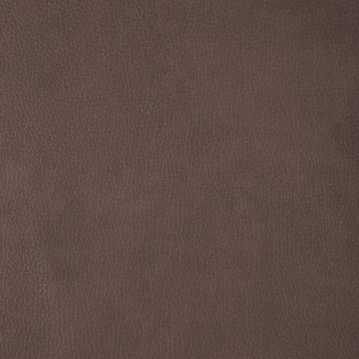 Reilly Aline Saddle Swatch