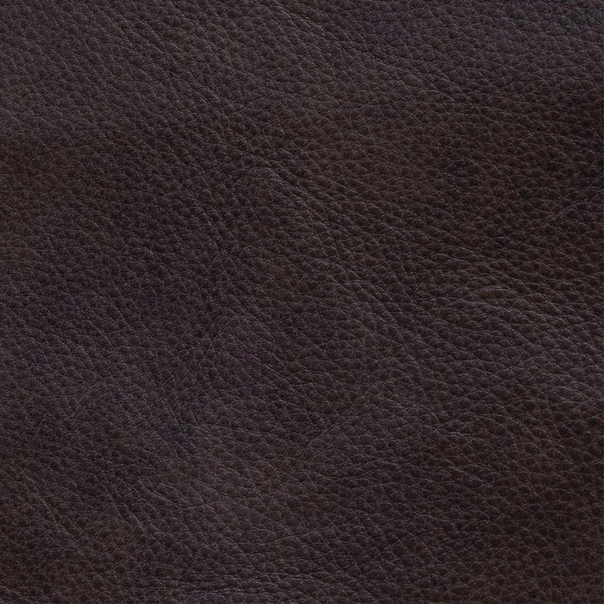Rayden Finch Cocoa Swatch