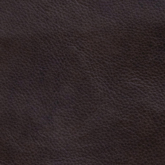 Rayden Finch Cocoa Swatch