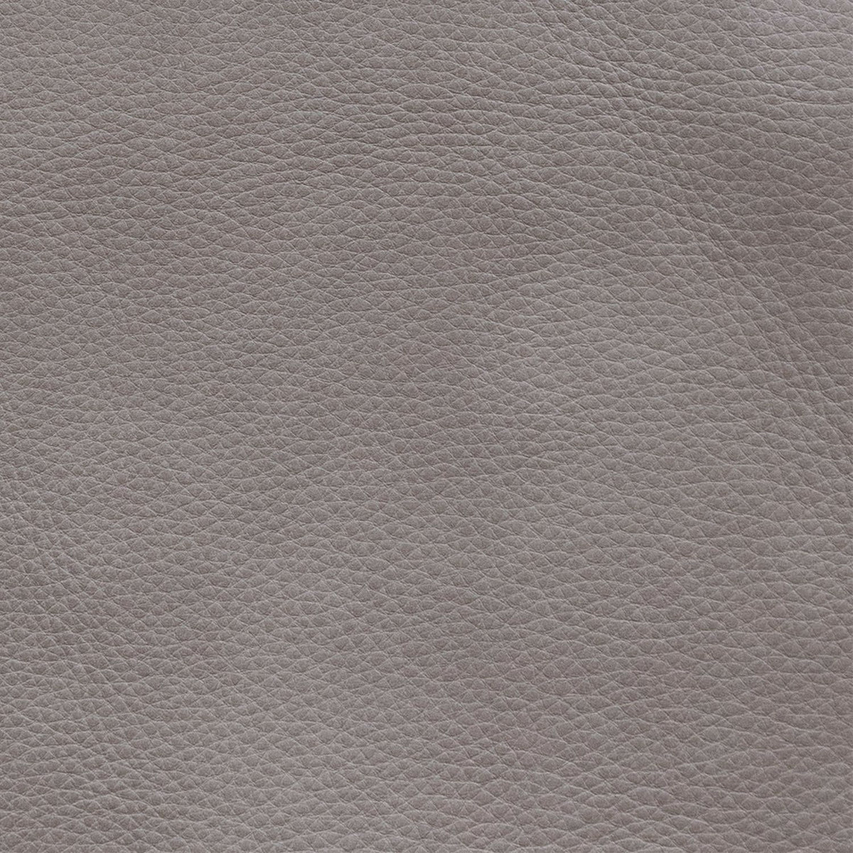 Rayden Finch Slate Swatch