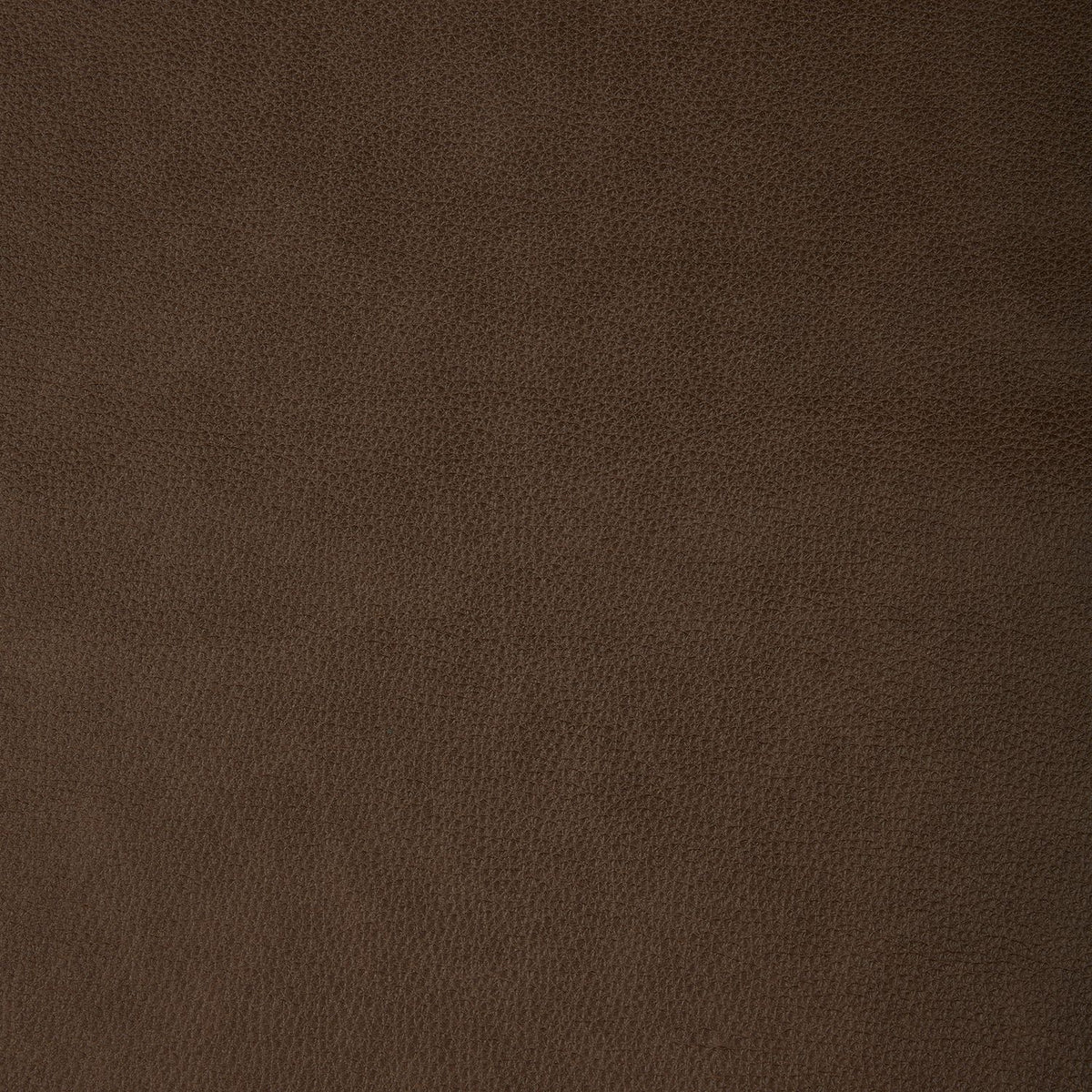 Raleigh York Chestnut Swatch
