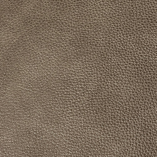 Raleigh York Mushroom Swatch