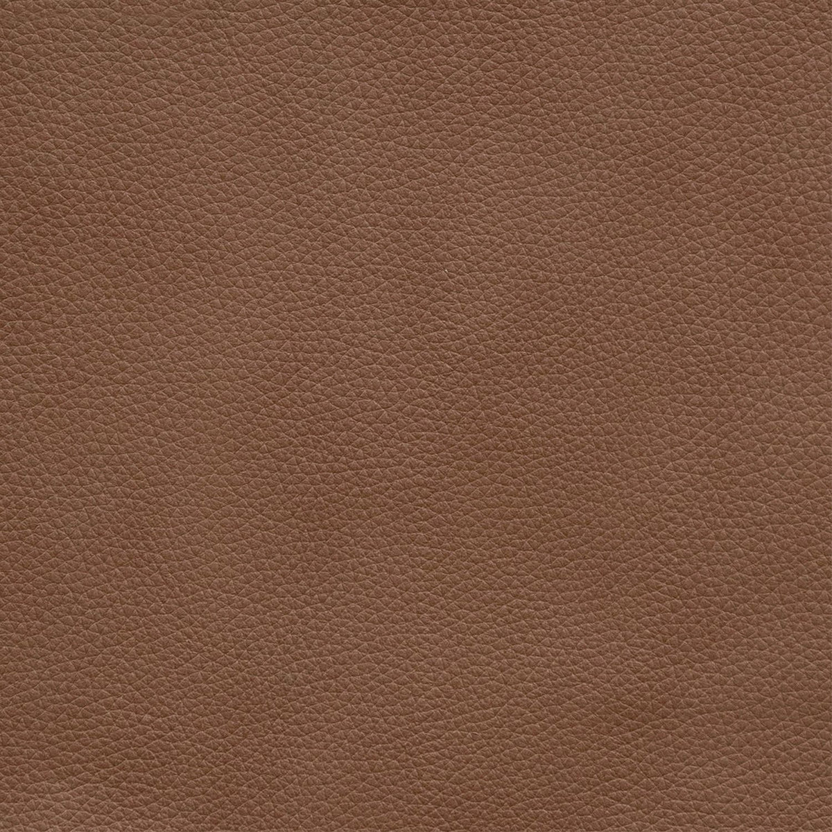 Darby Kona Butternut Swatch