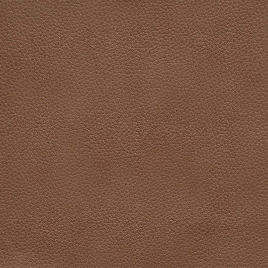 Darby Kona Butternut Swatch