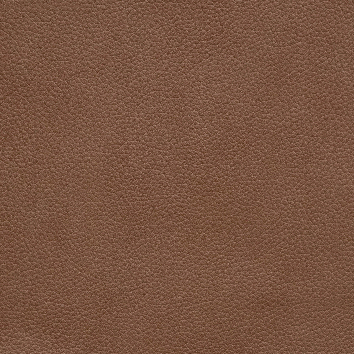 Darby Kona Butternut Swatch