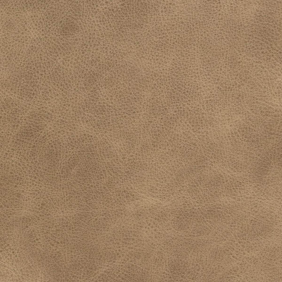 Reese Sintra Taupe Swatch