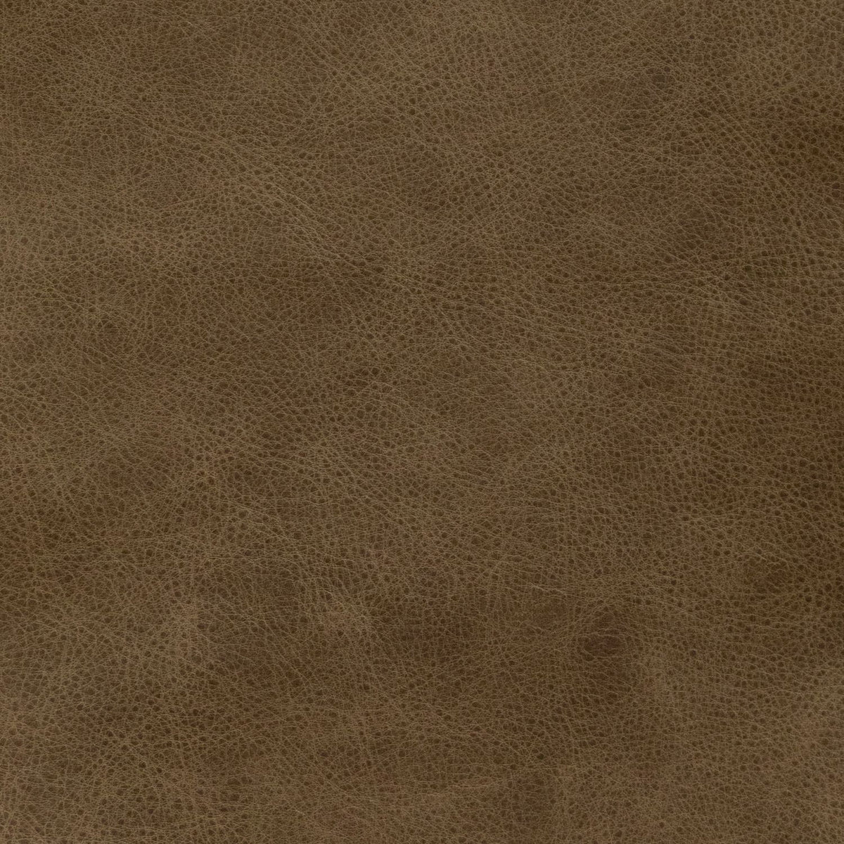 Reese Sintra Walnut Swatch