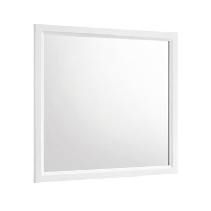 Davi Mirror (1645WH-6)