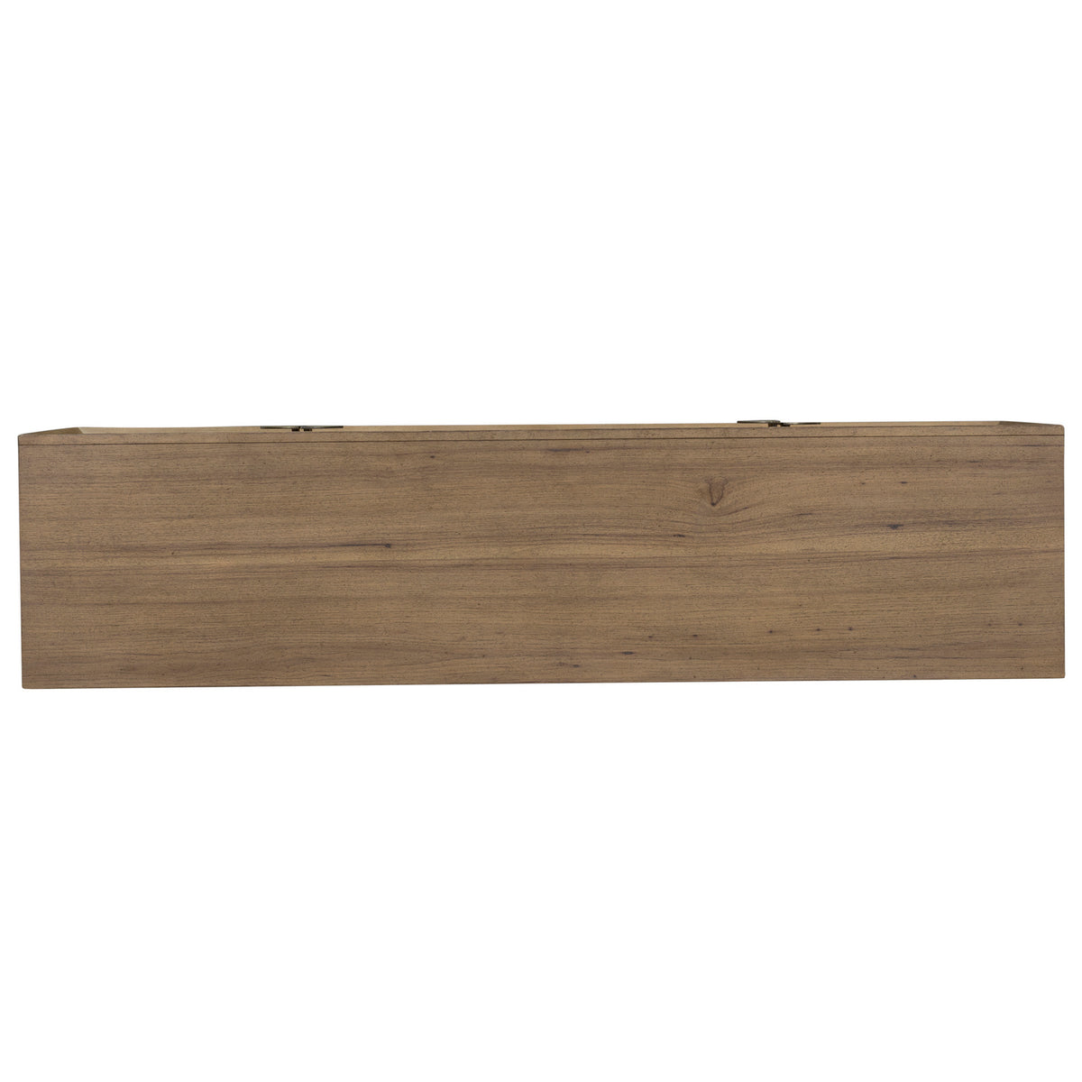 Luna 2 Door Accent Cabinet