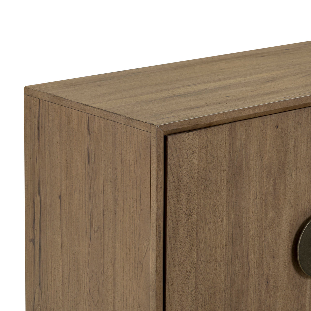Luna 2 Door Accent Cabinet