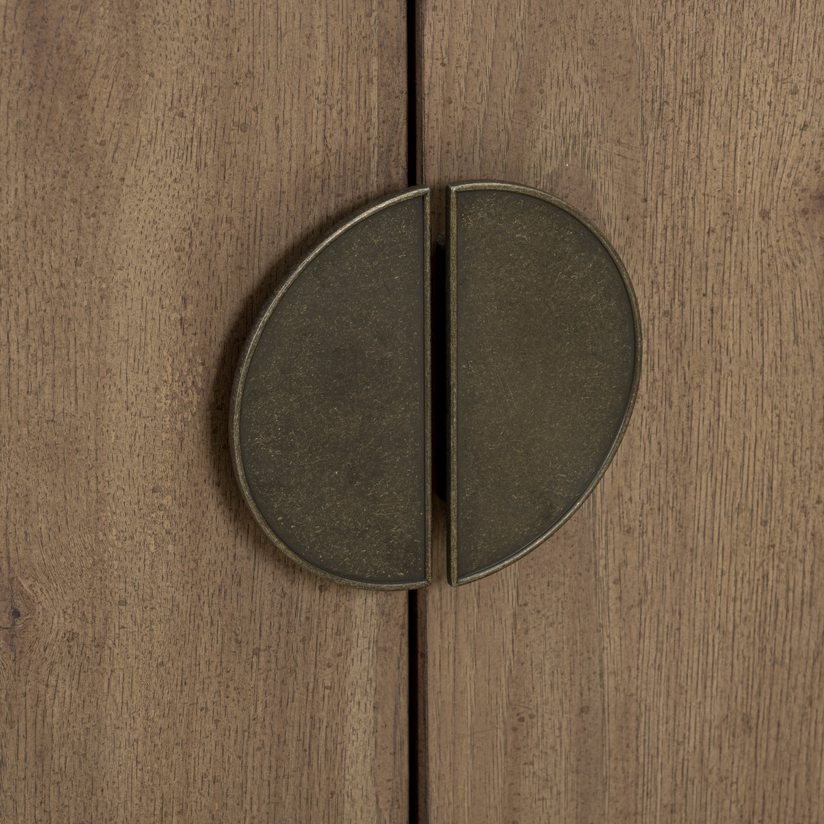 Luna 2 Door Accent Cabinet