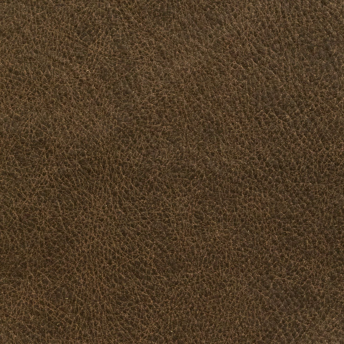 Revive Jumbo Bark Swatch