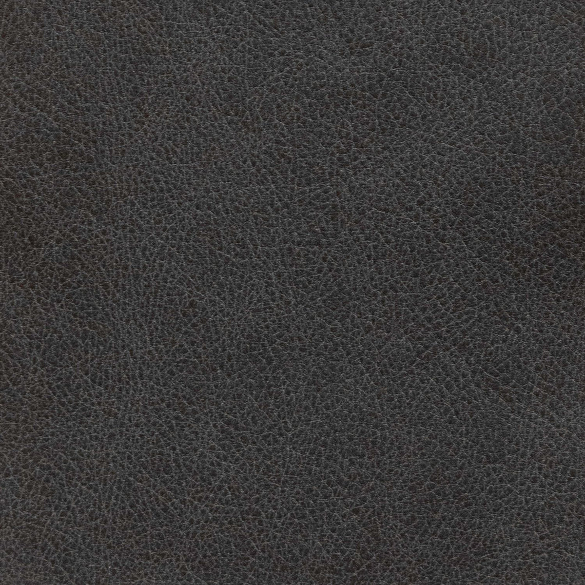 Revive Jumbo Slate Swatch