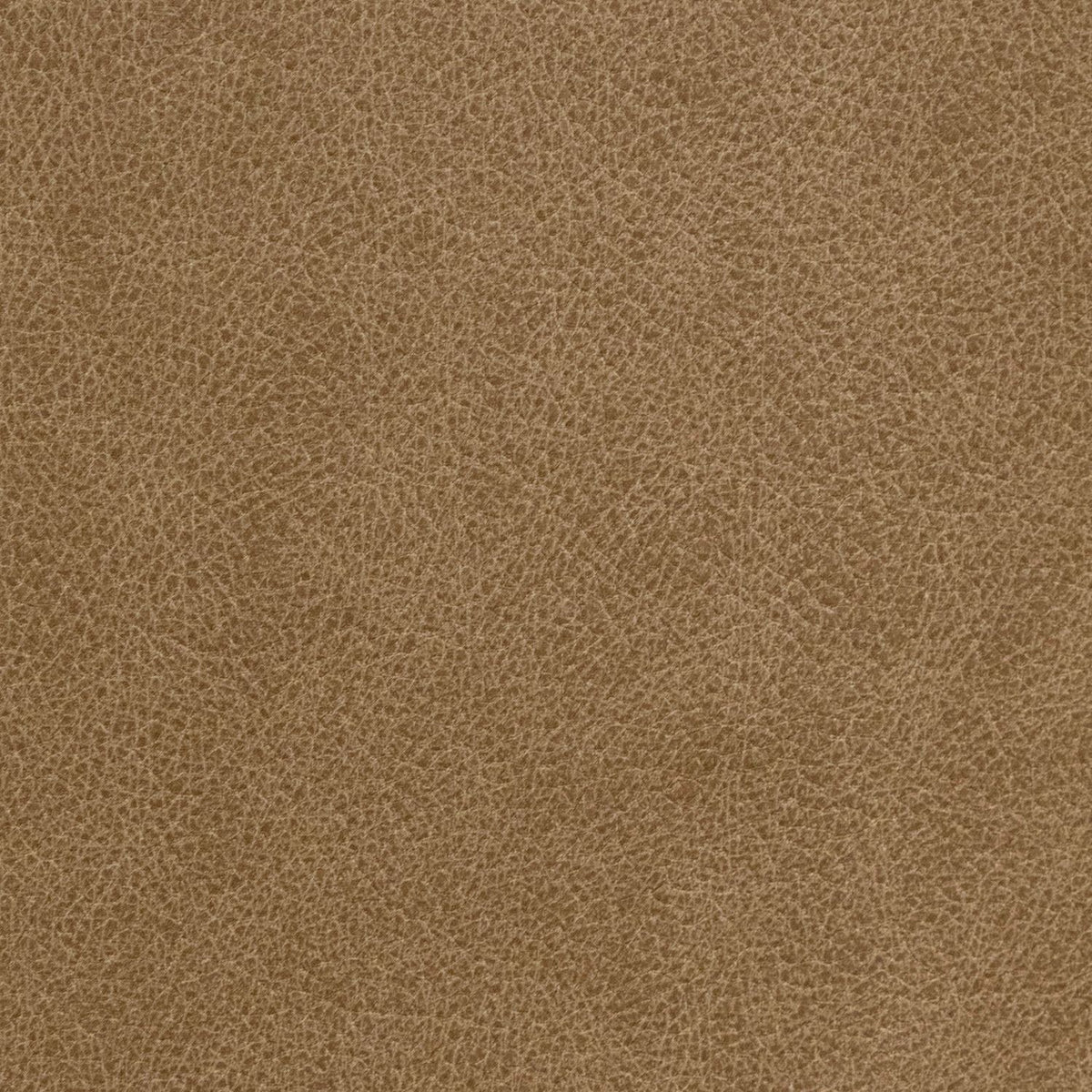 Revive Jumbo Sand Swatch