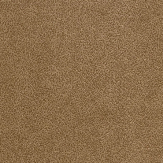 Revive Jumbo Sand Swatch