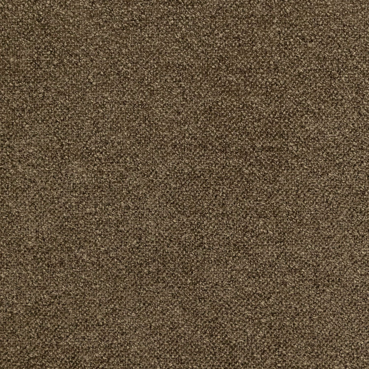 Senator Trento Chocolate Swatch