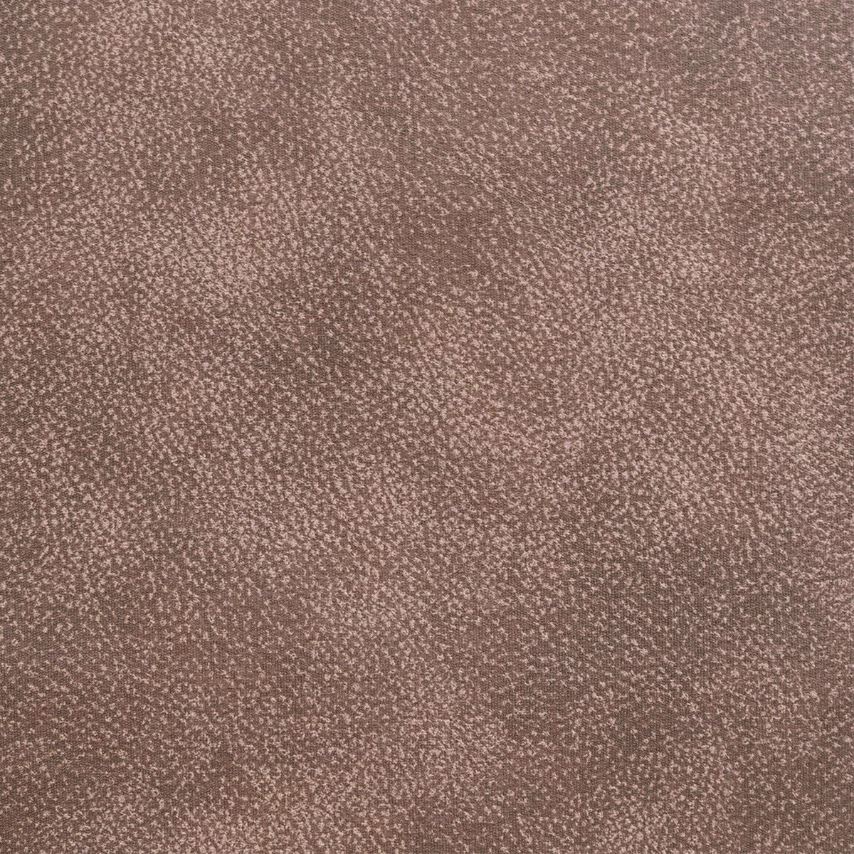 Sergeant Canyon Silt Swatch