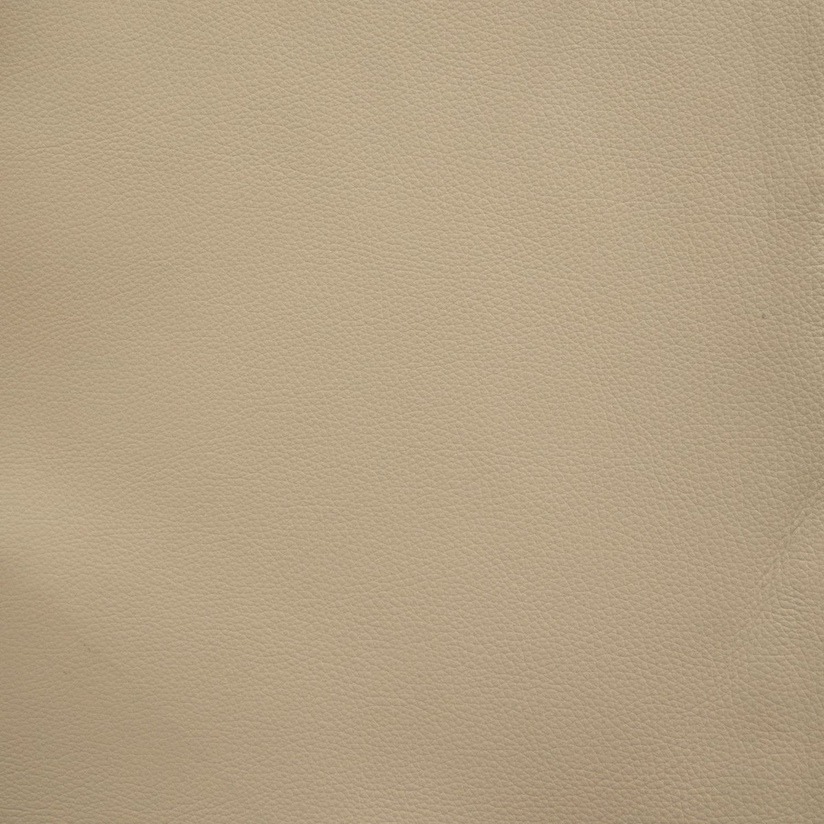 Remi Istria Khaki Swatch