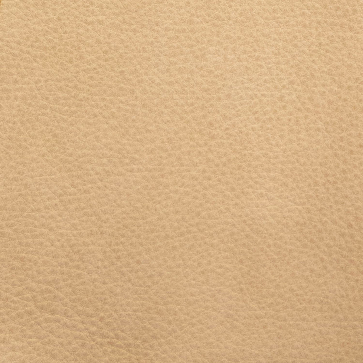 Rosalie Safari Fawn Swatch