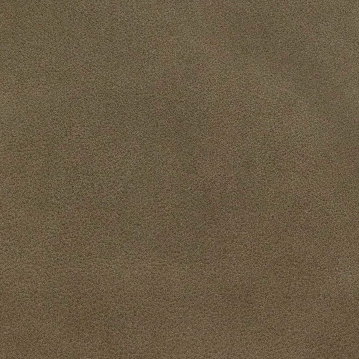 Rosalie Safari Grey Swatch