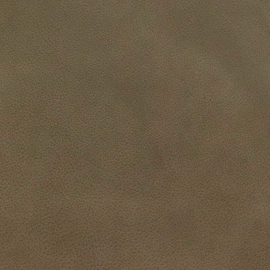 Rosalie Safari Grey Swatch
