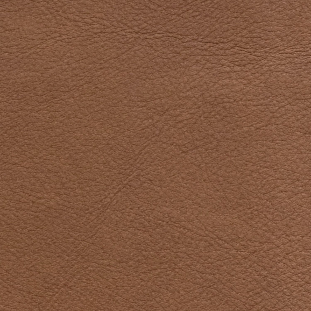 Romy Oslo Antelope Swatch