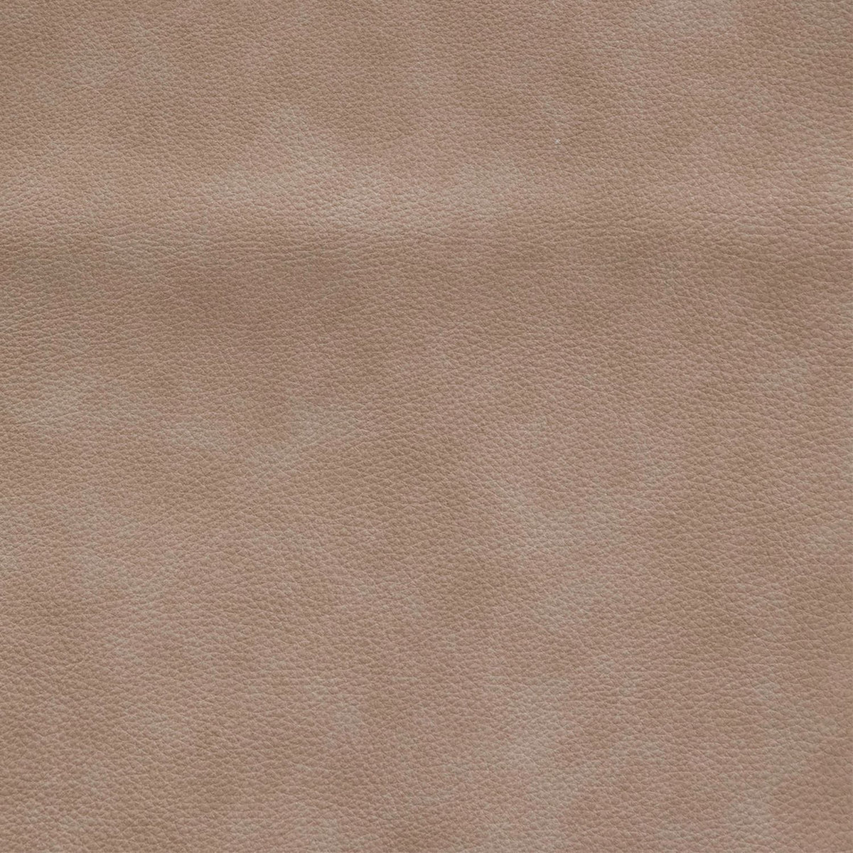 Blake Sophia Oatmeal Swatch