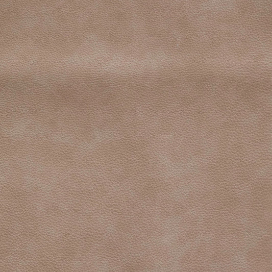 Blake Sophia Oatmeal Swatch