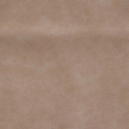 Blake Sophia Oatmeal Swatch