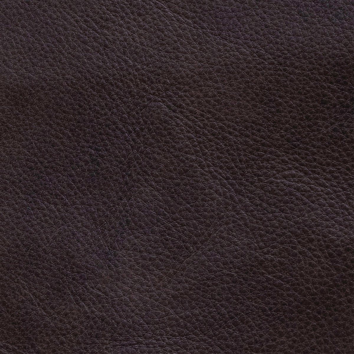Crawford Finch Cacao Swatch