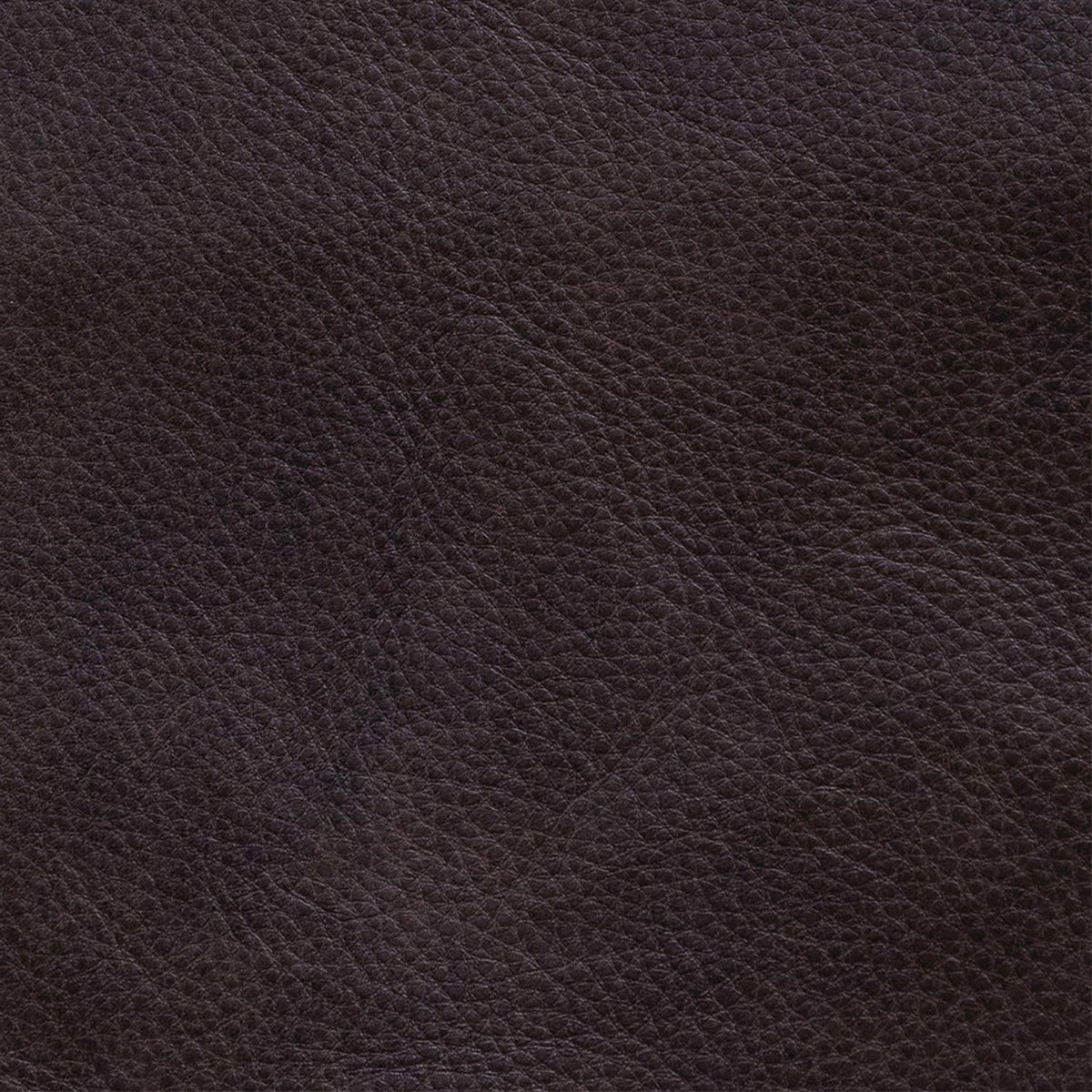 Crawford Finch Cacao Swatch