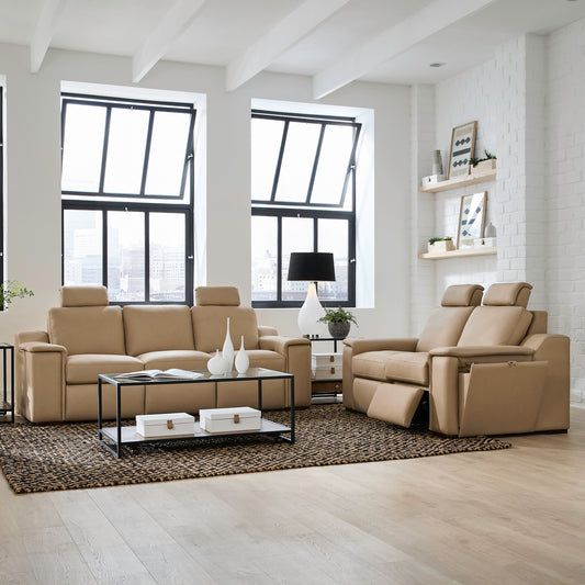 Armon Sofa & Loveseat (Oslo Fawn Leather)