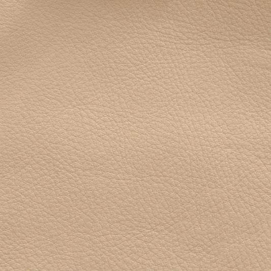 Armon Oslo Fawn Swatch