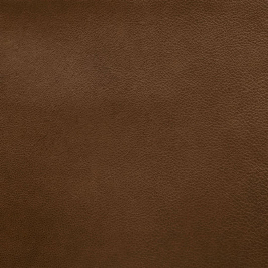 Baylor Apollo Nut Swatch
