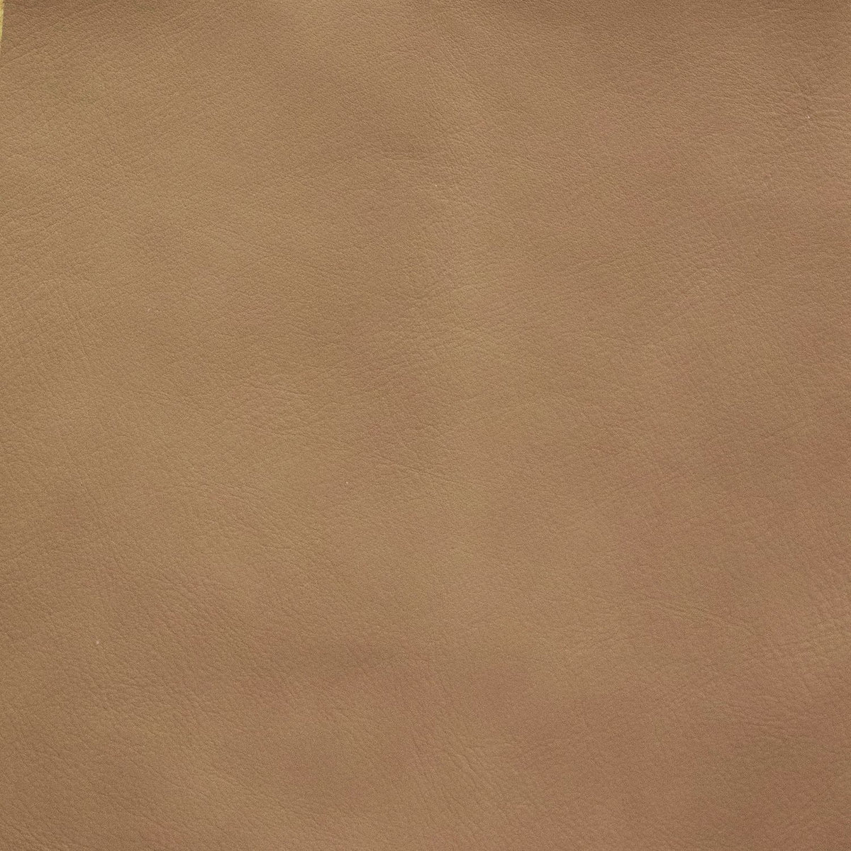 Angelo Oslo Bistre Swatch