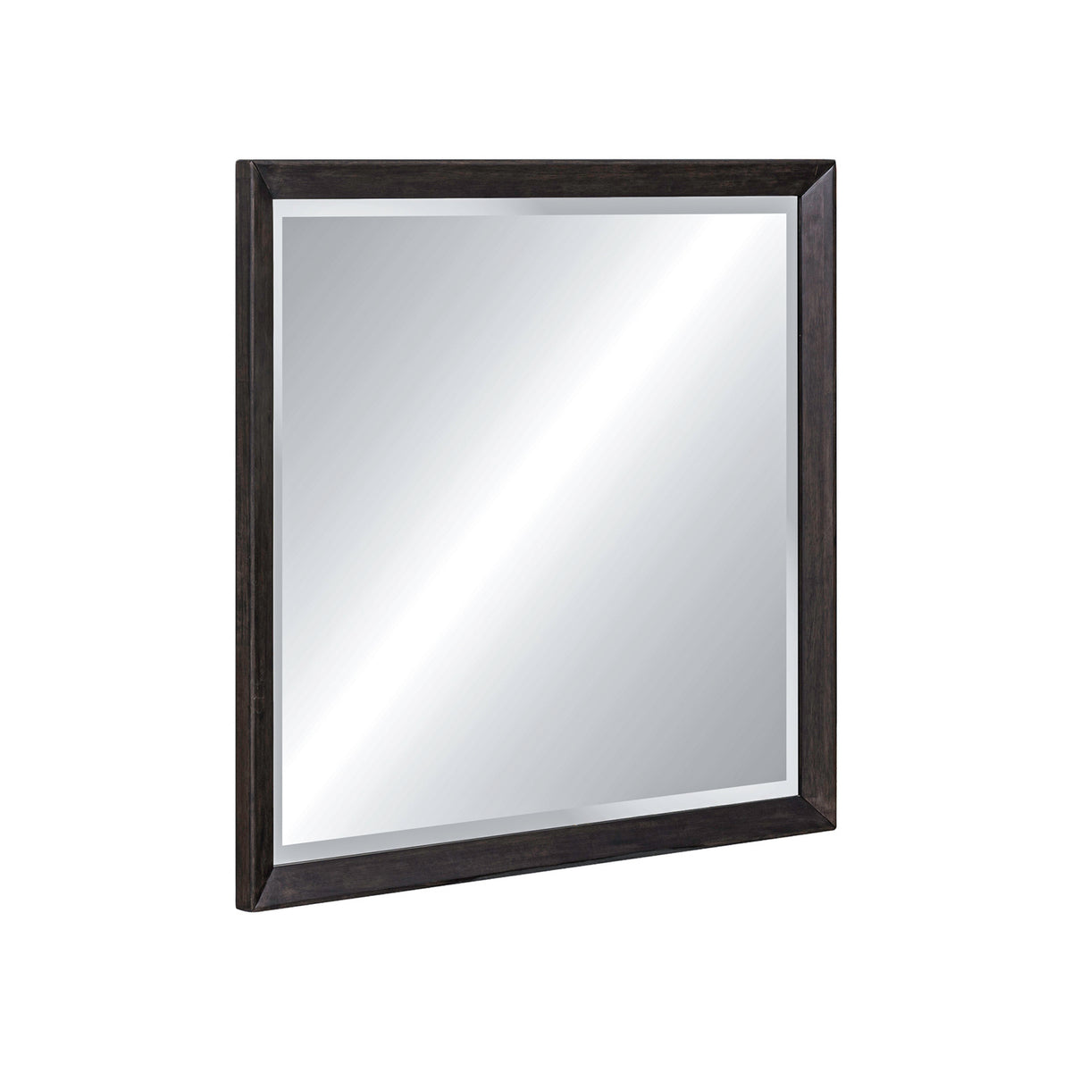 Century Modern Landscape Mirror