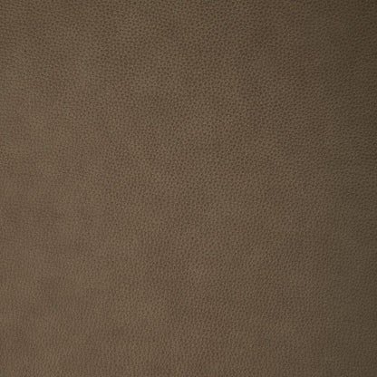 Carrington York Sand Swatch