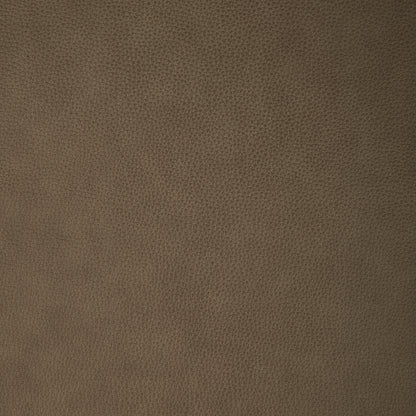 Carrington York Sand Swatch