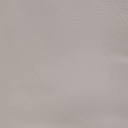 Carrington Baja Stone Swatch