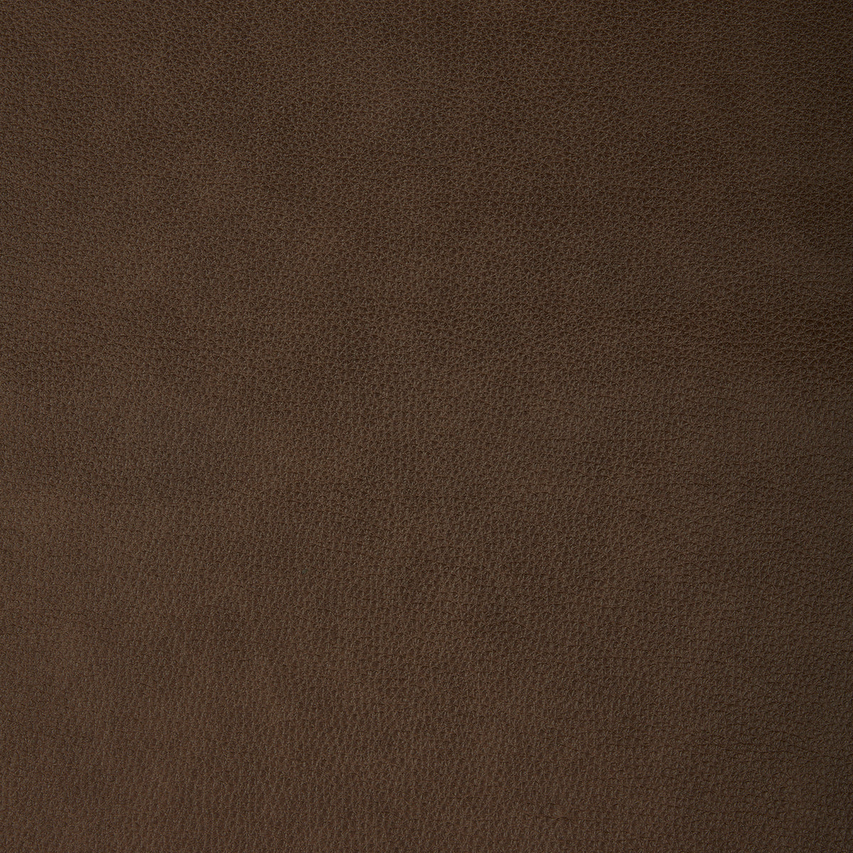 Collins York Chestnut Swatch