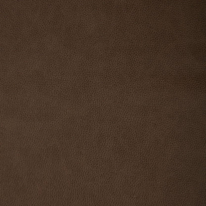 Collins York Chestnut Swatch