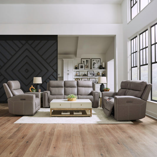 Camden Sofa w/ Loveseat & Recliner (Aline Light Gray Leather)