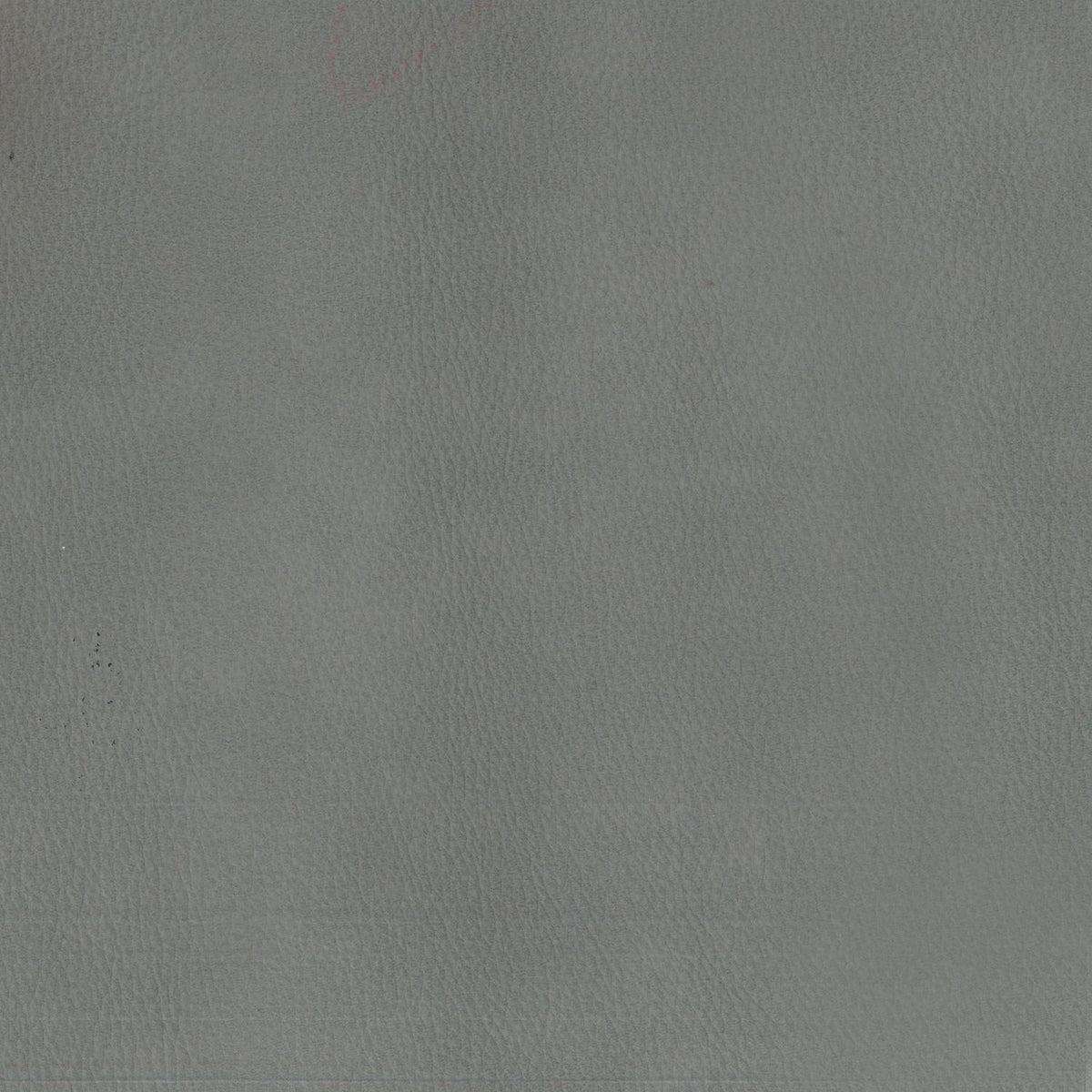 Camden Aline Light Gray Swatch